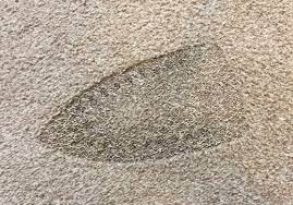 Here you may to know how to replace burnt carpet. How To Get Burns Out Of Carpet 10 Simple Steps Oh So Spotless
