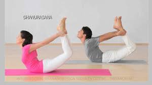 Sivananda 12 Basic Yoga Asana
