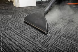 steam carpet cleaning professional