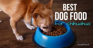 20 Best Dog Foods For Chihuahuas In 2019 Adult Puppies