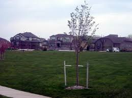 new patio homes in arvada