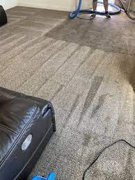 aea carpet cleaning 2575 e perrin ave