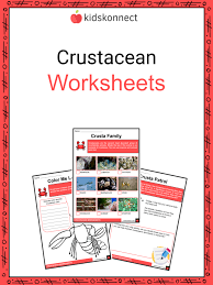 crustacean facts worksheets