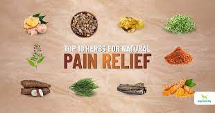 natural pain relief for dogs dogs