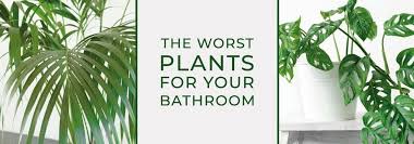 The Worst Plants For Your Bathroom