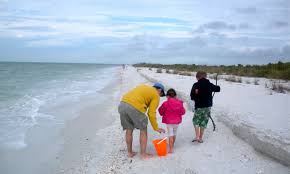 Shelling On Marco Island Florida Hilton Mom Voyage