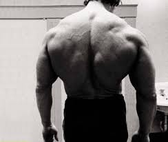 arnold back workout how to make your