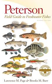 Peterson Field Guide To Freshwater Fishes Second Edition