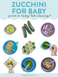how to serve zucchini to baby baby foode
