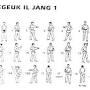 wtf taekwondo patterns from googleweblight.com