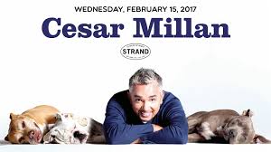 Get the best deals on cesar millan dog training videos & books when you shop the largest online selection at ebay.com. Cesar Millan Lessons From The Pack Youtube