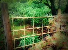 Bamboo Fences Seattle Japanese Garden