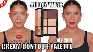 hd skin contour highlight palette