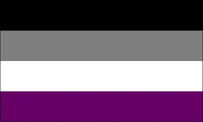 Image result for queer flags
