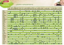 Garden Plants Compatibility Pdf