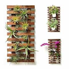 Plant Stand Air Plant Succulent Holder