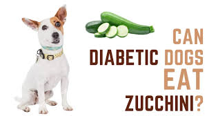 can diabetic dogs eat zucchini answered