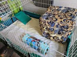 how to sew cage liners for guinea pigs