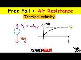 Free Fall With Air Resistance