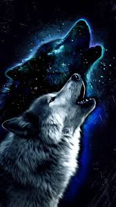 Give your home a bold look this year! Galaxy Wolf Wallpaper Wallpaper Sun