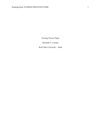 Nursing process paper example foley : Nursing Process Paper