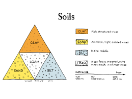 Introduction To Soil Types And Wine Wine Folly