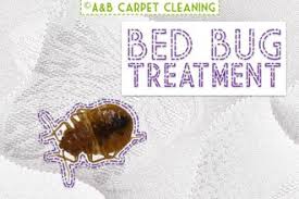 bed bug treatment brooklyn