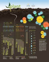 Gardening Infographic