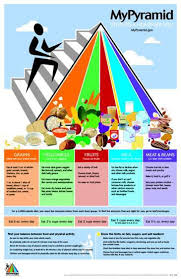 Great P E Poster Nutrition Pyramid Healthy Diet Tips