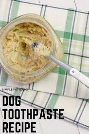 homemade dog toothpaste your dog will