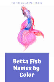 betta fish names by color exotic