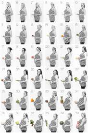 Pin On Pregnancy Pictures