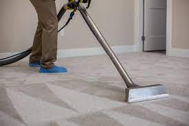 why professional carpet cleaning is
