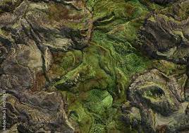 seamless terrain texture map stock