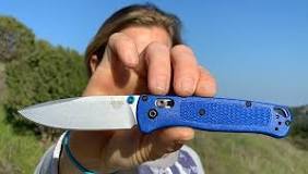 Image result for Benchmade Mini Bugout