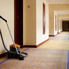 carpet cleaning near perry mi 48872