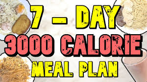 7 day 3000 calorie meal plan you