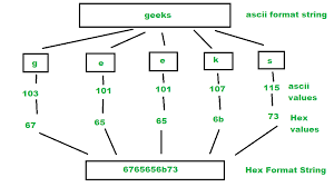 Convert A String To Hexadecimal Ascii Values Geeksforgeeks