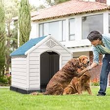 outdoor dog house plastic waterproof