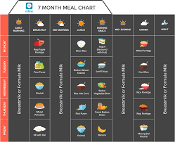 indian baby food chart ultimate guide