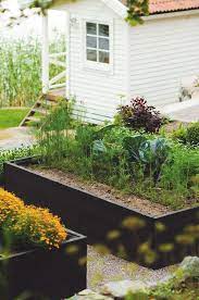 Trend Alert Black Stained Raised Beds