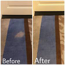 carpet dyeing services