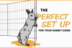 a rabbit cage