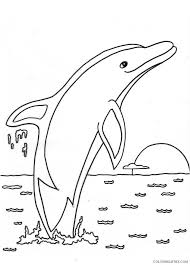 Download and print these sunset coloring pages for free. Dolphin Coloring Pages Jumping At Sunset Coloring4free Coloring4free Com