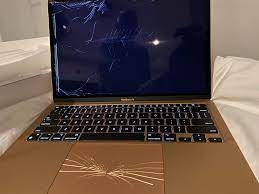 Customized M1 macbook air arrived destroyed : mac
