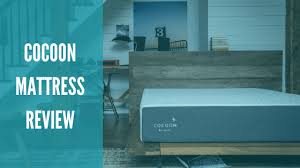 Cocoon By Sealy Mattress Review Counting Sheep Research