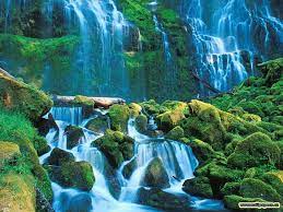 Live Nature Wallpapers - Top Free Live ...
