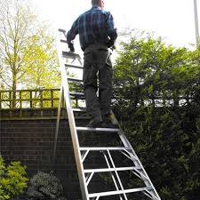 Garden Ladders What S The Best Ladder