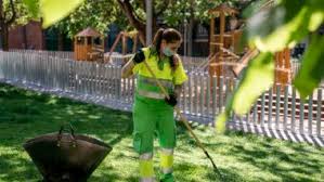 Extra cleaning and maintenance services for parks and gardens in ...