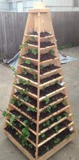 Diy Pyramid Planter Plans For Gardening